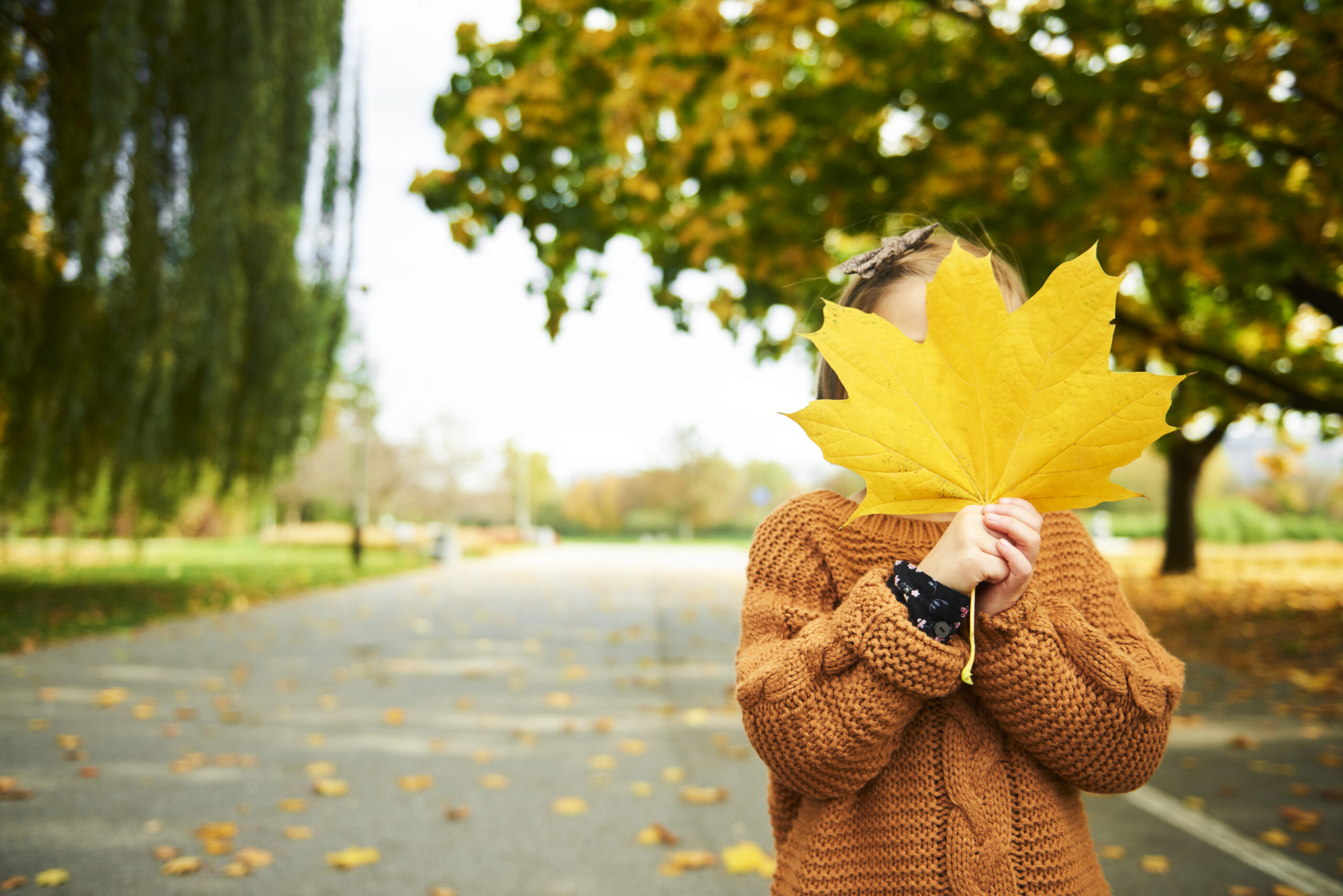 How Do Changing Seasons Affect Our Lifestyle?